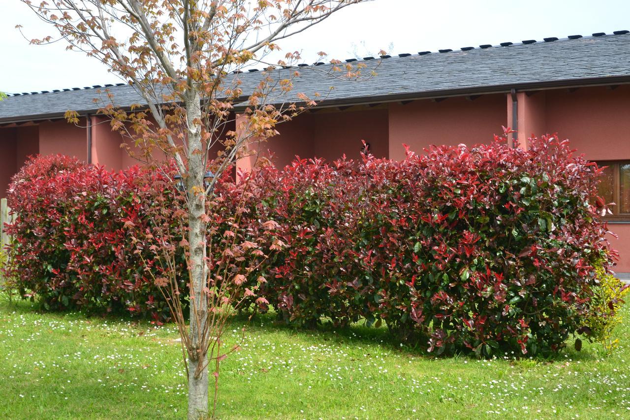 Apartamentos El Guindal Tapia De Casariego Luaran gambar